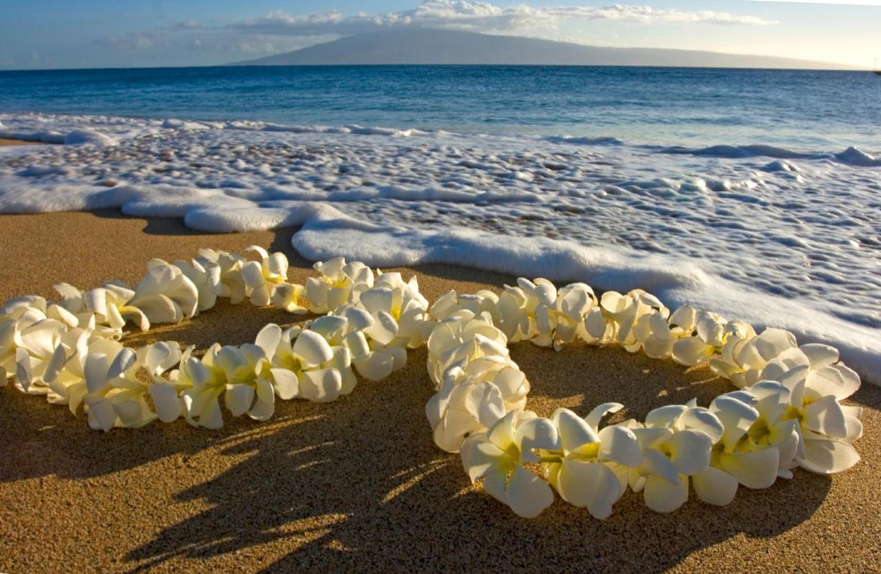 Tropical Bliss, Mountain View Condo Near Waikiki Beach With Free Parking Honolulu Exterior photo