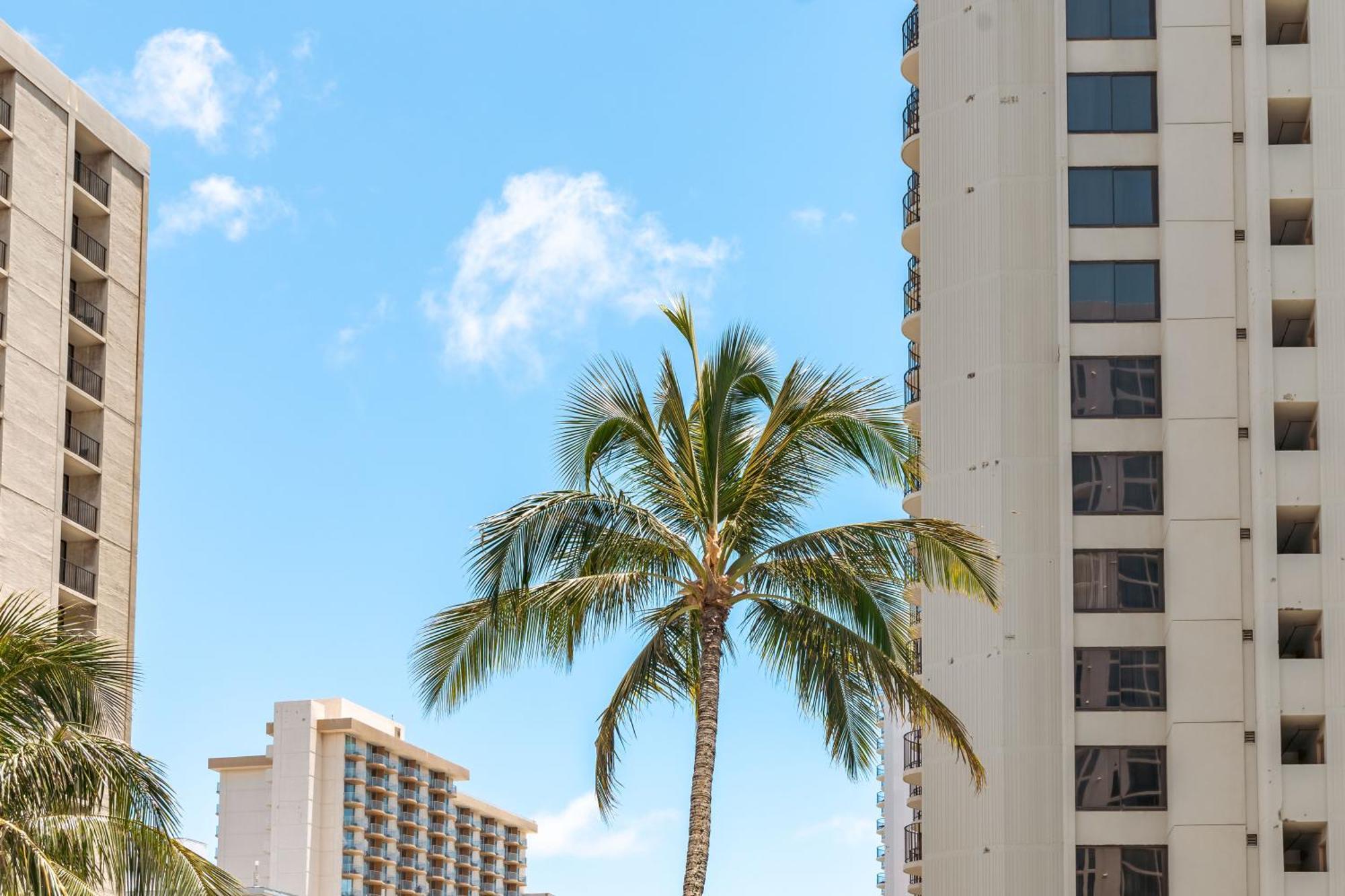 Tropical Bliss, Mountain View Condo Near Waikiki Beach With Free Parking Honolulu Exterior photo